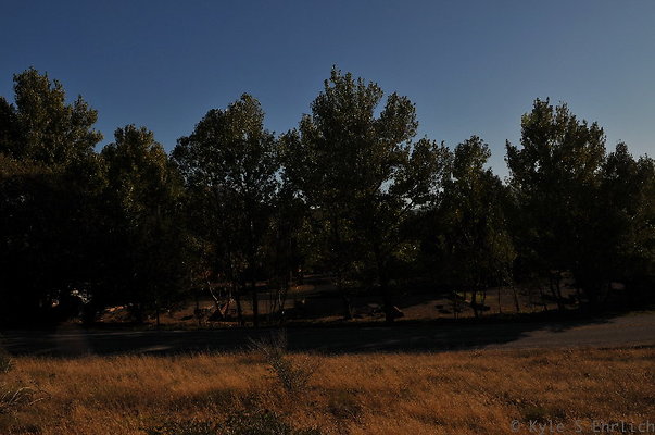 DSC 4820