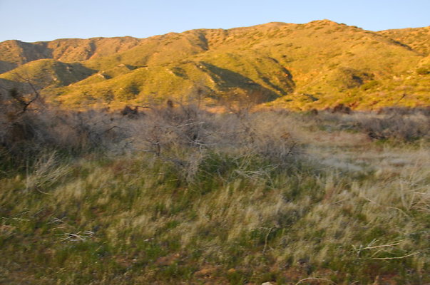 DSC 2302