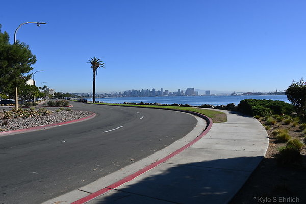 DSK 8691