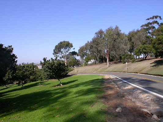 DSCN9526