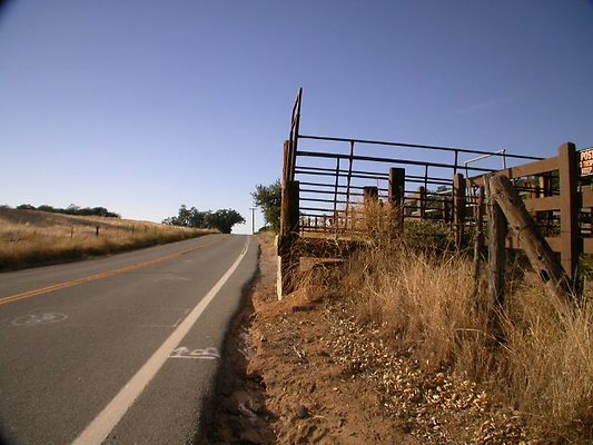 DSCN0800