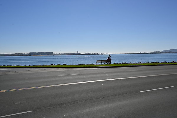 DSK 8755