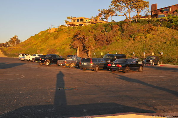 DSC 9317