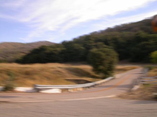 DSCN0749