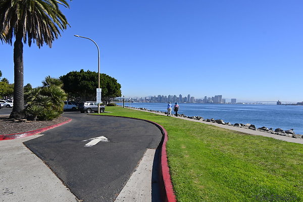 DSK 8791
