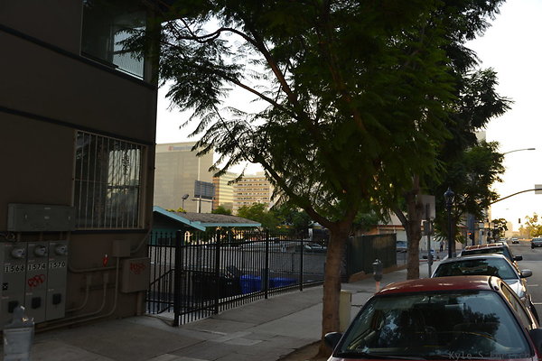 DSC 2150