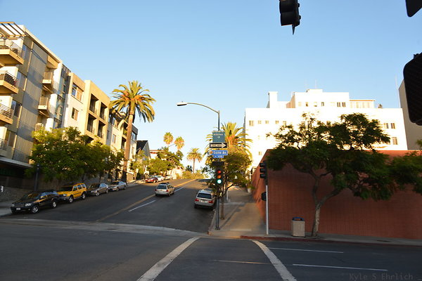 DSC 2093