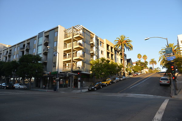 DSC 2077