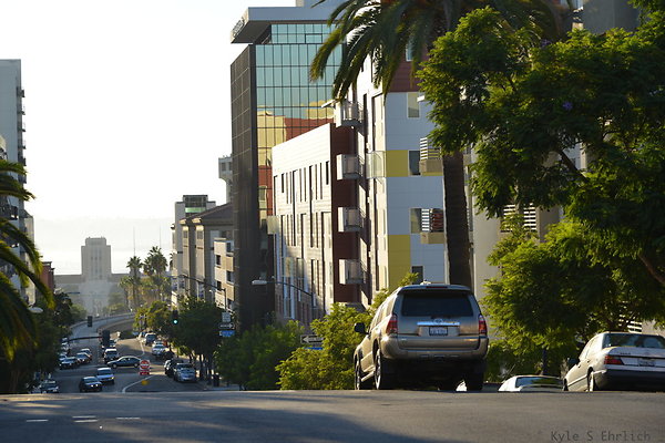 DSC 1950