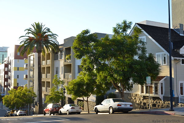 DSC 1983