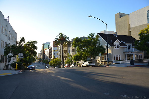 DSC 1980