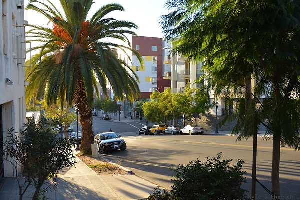 DSC 2008