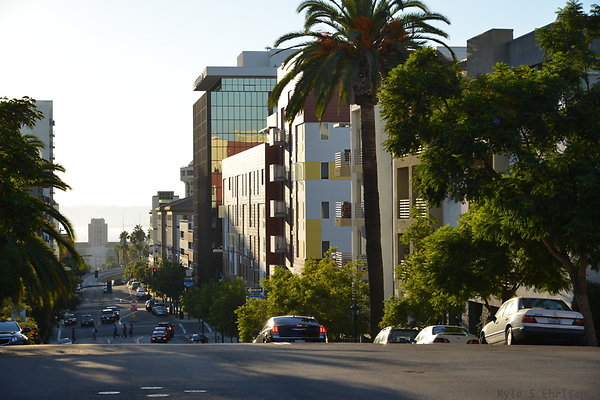 DSC 1962
