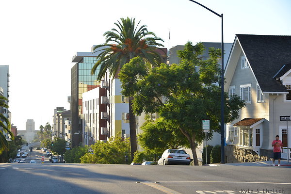 DSC 1941