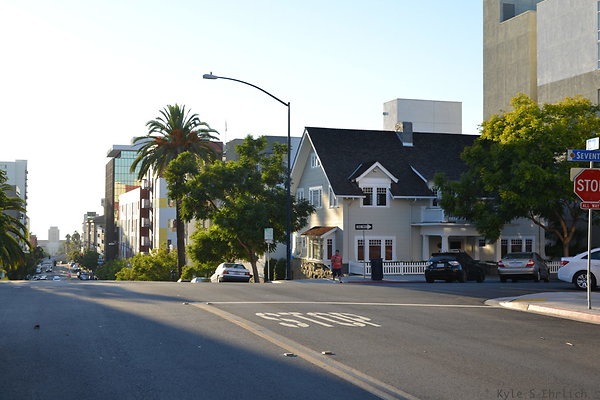 DSC 1939