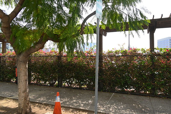 DSK 9832