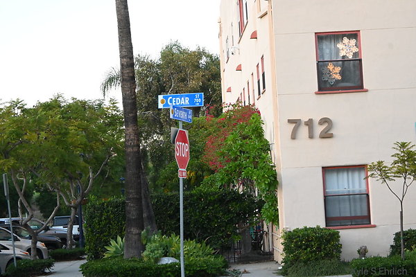 DSK 8976a