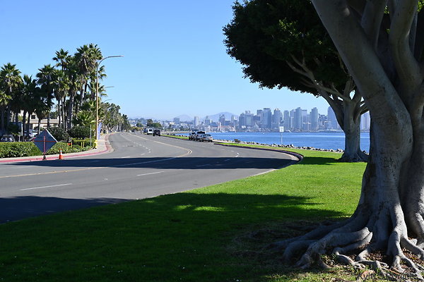 DSK 8823