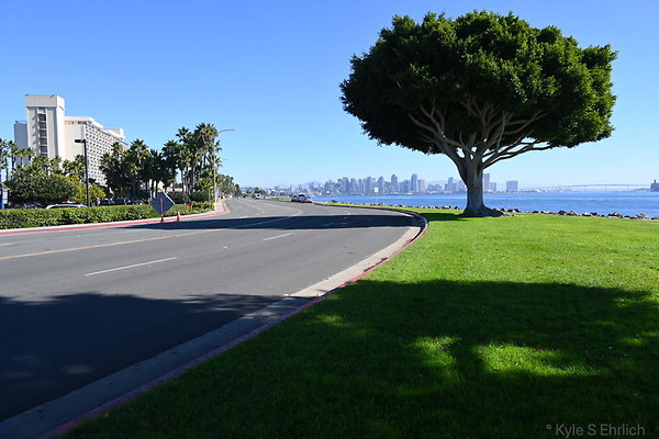 DSK 8827