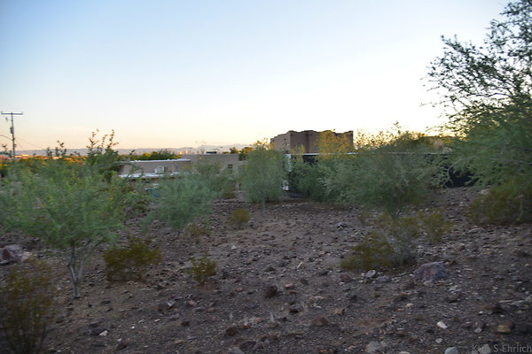 DSC 2337