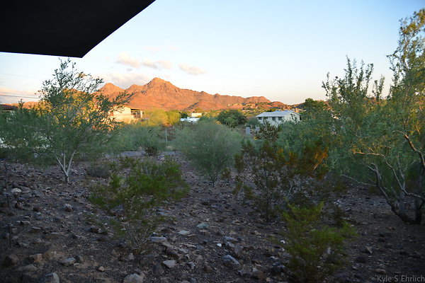 DSC 2346