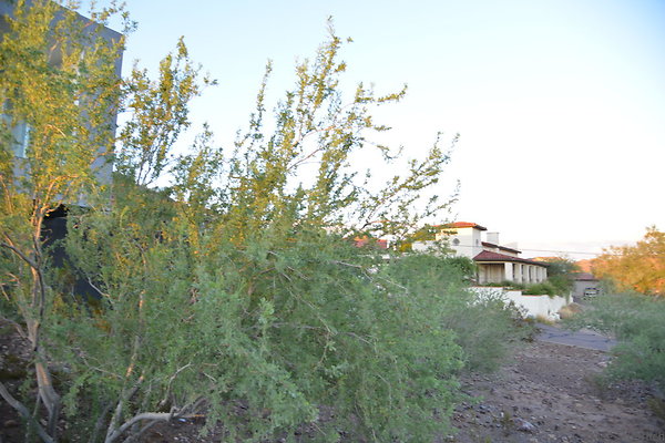 DSC 2351