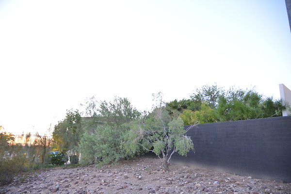 DSC 2355