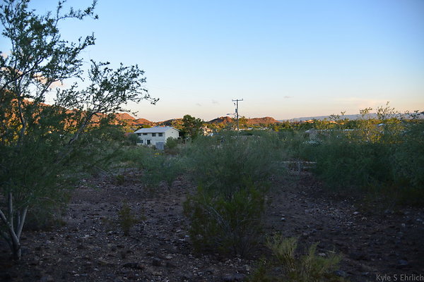 DSC 2342