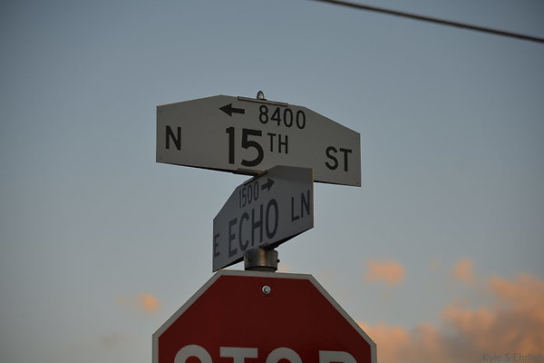 DSC 4277