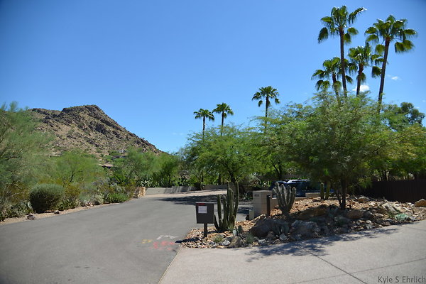 DSC 5010