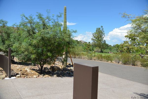 DSC 5006