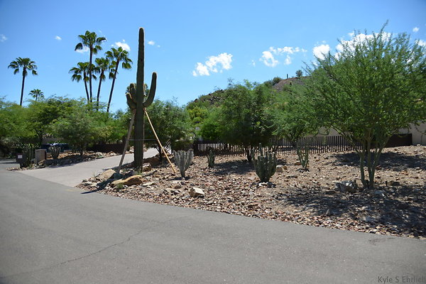 DSC 5023