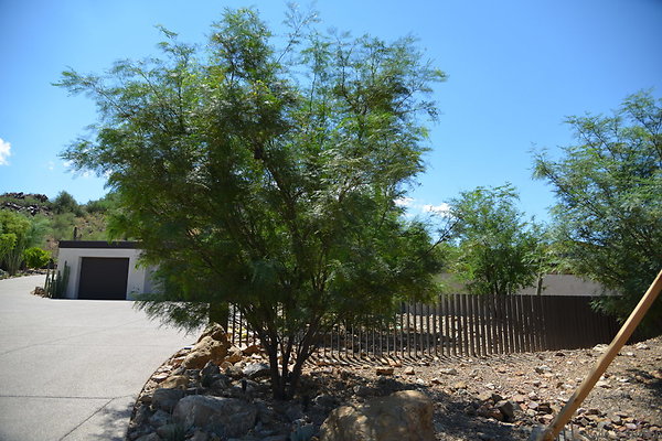 DSC 5012