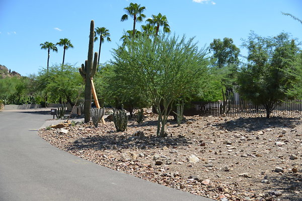 DSC 5029