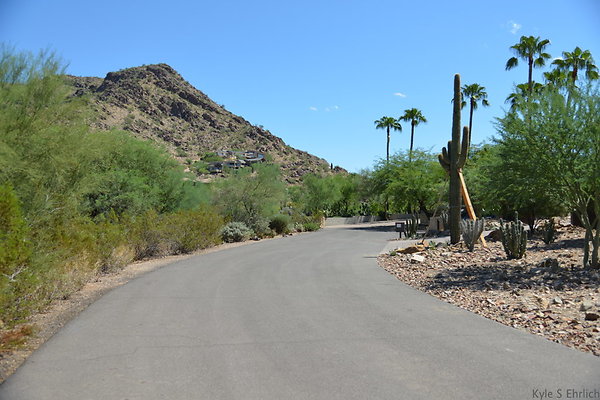 DSC 5032