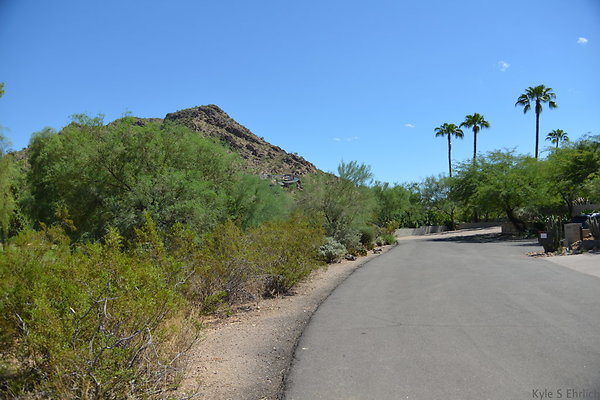 DSC 5025