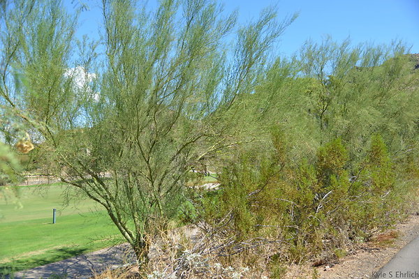DSC 5031