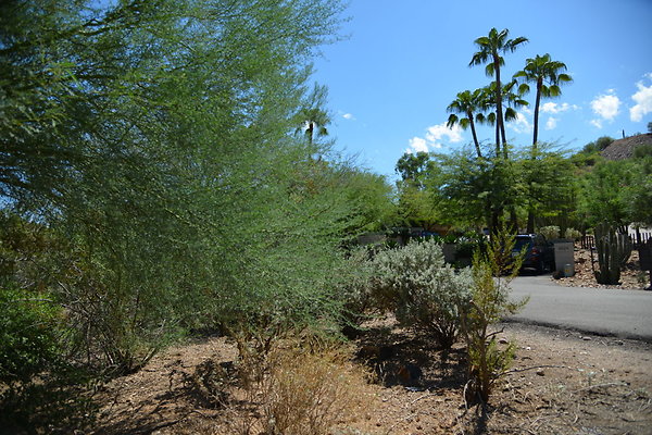 DSC 5016