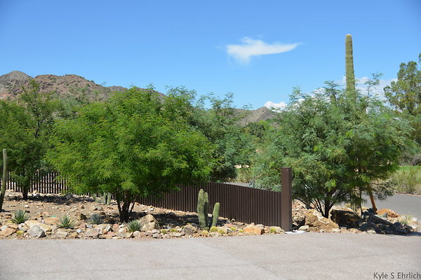 DSC 5000
