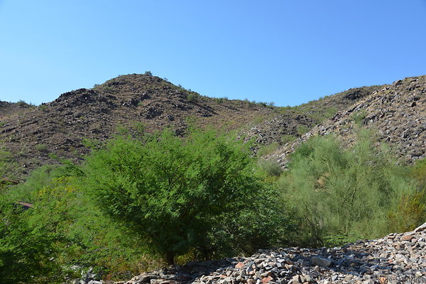 DSC 2609