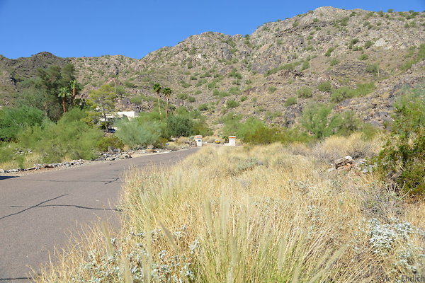DSC 2517