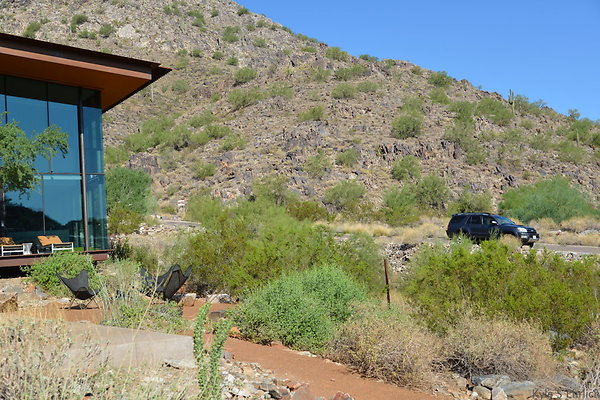 DSC 2555