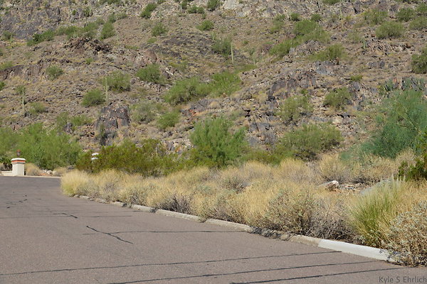 DSC 2617