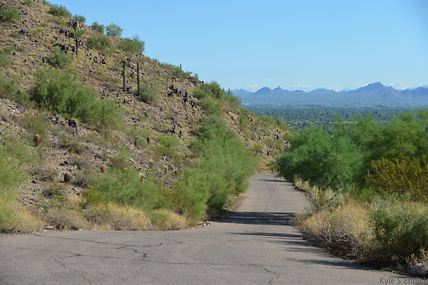 DSC 2456