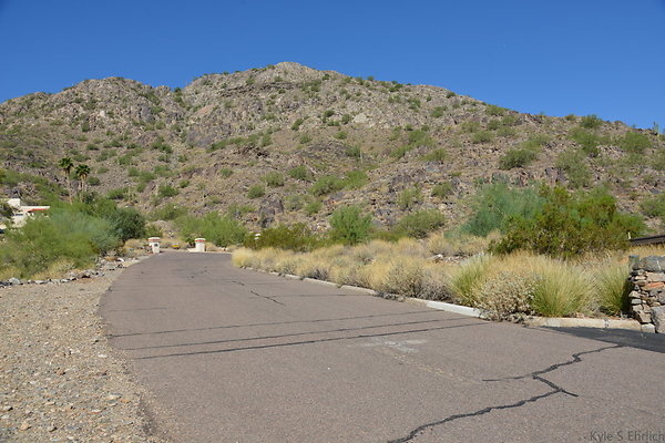 DSC 2619