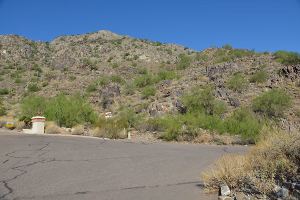 DSC 2466