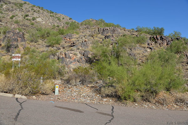 DSC 2474