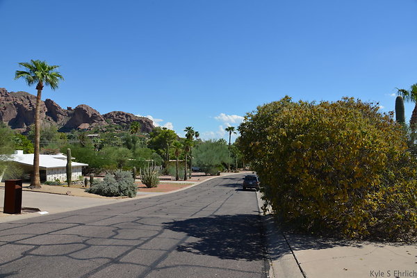 DSC 5364
