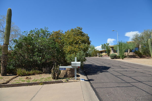 DSC 5397