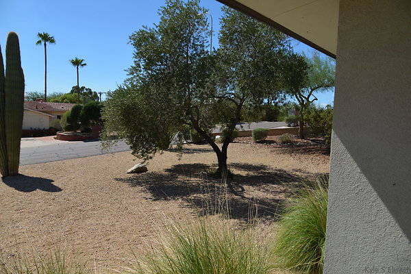 DSC 5344